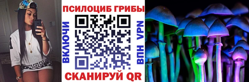 Псилоцибиновые грибы GOLDEN TEACHER  как найти закладки  сайты даркнета как зайти  Высоковск 